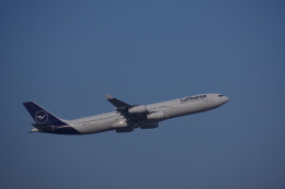 JA8037さんが、フランクフルト国際空港で撮影したルフトハンザドイツ航空 A340-313Xの航空フォト（飛行機 写真・画像）