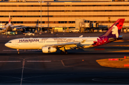 koei5000さんが、羽田空港で撮影したハワイアン航空 A330-243の航空フォト（飛行機 写真・画像）