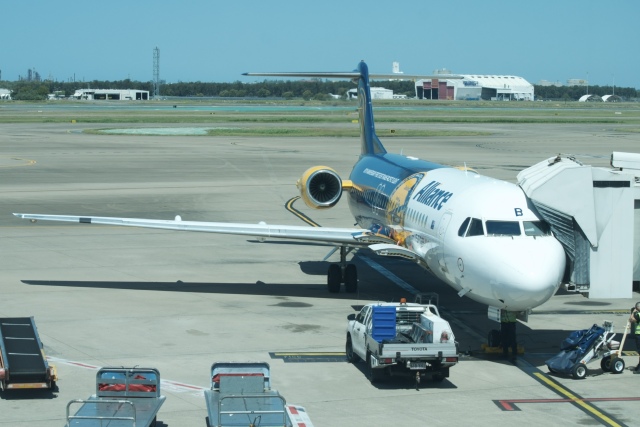 Kさんという人さんが、ブリスベン空港で撮影したアライアンス・エアラインズ 100の航空フォト（飛行機 写真・画像）