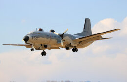 taikirikioさんが、入間飛行場で撮影した航空自衛隊 YS-11A-402EBの航空フォト（飛行機 写真・画像）