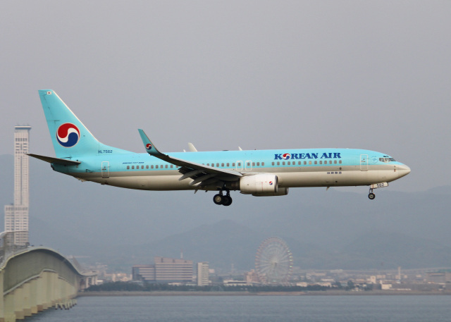 大韓航空 機材一覧 ボーイング737-800 | FlyTeam(フライチーム)