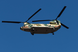A.Tさんが、入間飛行場で撮影した航空自衛隊 CH-47J/LRの航空フォト（飛行機 写真・画像）