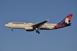 箕島さんが、羽田空港で撮影したハワイアン航空 A330-243の航空フォト（飛行機 写真・画像）