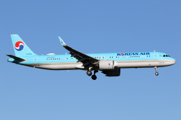 KOREAN AIR A321neo コリアン 大韓航空 エアバス NG 大韓航空、エアバスA321neoを初受領 ビジネスクラスはフル