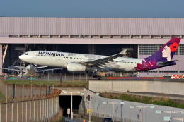 A_chanさんが、羽田空港で撮影したハワイアン航空 A330-243の航空フォト（飛行機 写真・画像）