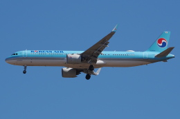 航空フォト：HL8531 大韓航空 A321neo