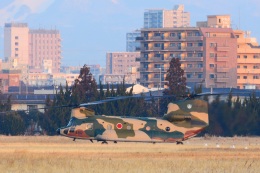 SIOUX13さんが、霞目駐屯地で撮影した航空自衛隊 CH-47J/LRの航空フォト（飛行機 写真・画像）