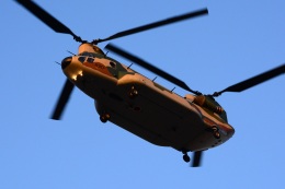 SIOUX13さんが、霞目駐屯地で撮影した航空自衛隊 CH-47J/LRの航空フォト（飛行機 写真・画像）