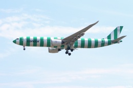 航空フォト：D-ANRA コンドル A330-900