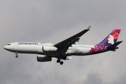 【超レア】ハワイアン航空 Gemini200 A330-200 N388HA 機体記号 : N388HA (ハワイアン航空) 航空機体ガイド | FlyTeam