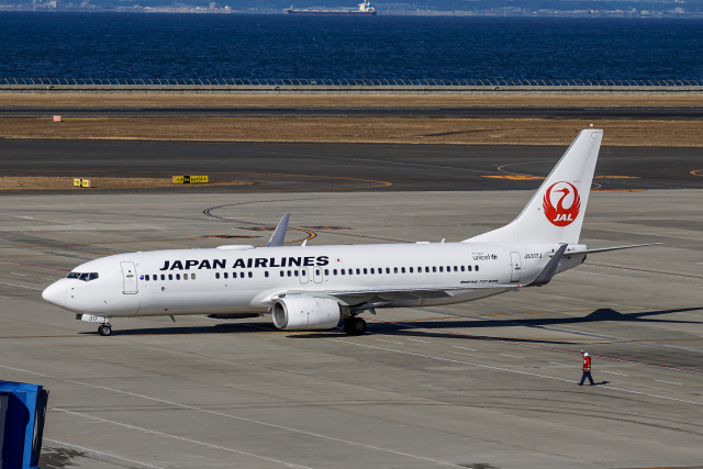 機体記号 : JA317J (JAL) 航空機体ガイド | FlyTeam(フライチーム)