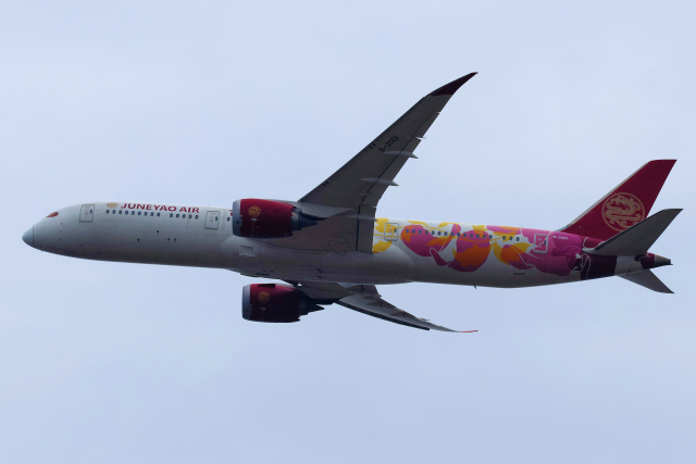 KA ドラゴン航空 Airlinertags B737-200 ロゴ部分カット ドラゴン航空 Airlinertags B737-200 文字部分カット