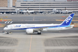 Izumix2003さんが、羽田空港で撮影した全日空 787-8 Dreamlinerの航空フォト（飛行機 写真・画像）