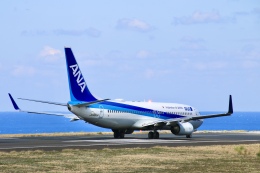 じーのさんさんが、八丈島空港で撮影した全日空 737-881の航空フォト（飛行機 写真・画像）