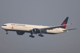 航空フォト：C-FJZS エア・カナダ 777-300
