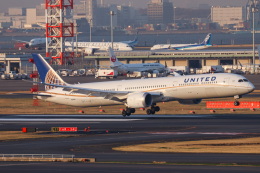 koei5000さんが、羽田空港で撮影したユナイテッド航空 787-10の航空フォト（飛行機 写真・画像）