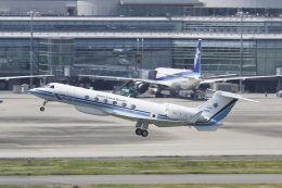 機体記号 : JA501A (海上保安庁) 航空フォト(飛行機 写真・画像