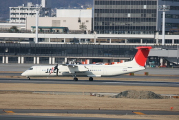 kahluamilkさんが、伊丹空港で撮影した日本エアコミューター DHC-8-402Q Dash 8の航空フォト（飛行機 写真・画像）