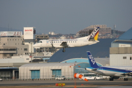 kahluamilkさんが、伊丹空港で撮影した日本エアコミューター 340Bの航空フォト（飛行機 写真・画像）