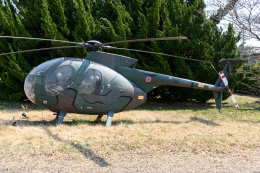 航空フォト：31138 陸上自衛隊 OH-6D