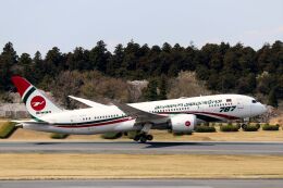 DVDさんが、成田国際空港で撮影したビーマン・バングラデシュ航空 787-8 Dreamlinerの航空フォト（飛行機 写真・画像）