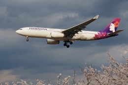 飛行機ゆうちゃんさんが、成田国際空港で撮影したハワイアン航空 A330-243の航空フォト（飛行機 写真・画像）
