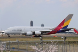 これもさんが、成田国際空港で撮影したアシアナ航空 A380-841の航空フォト（飛行機 写真・画像）