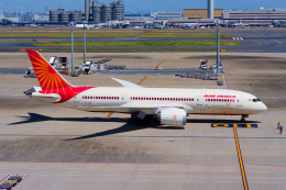 はなちゃんさんが、羽田空港で撮影したエア・インディア 787-8 Dreamlinerの航空フォト（飛行機 写真・画像）