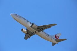 jta様 機体記号 : JA8994 (JTA) 航空機体ガイド | FlyTeam(フライチーム)
