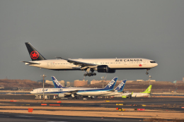 A_chanさんが、羽田空港で撮影したエア・カナダ 777-333/ERの航空フォト（飛行機 写真・画像）