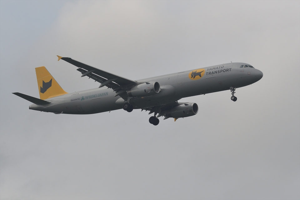 ヤマト運輸 Airbus A321 JA82YA 成田国際空港 航空フォト | by
