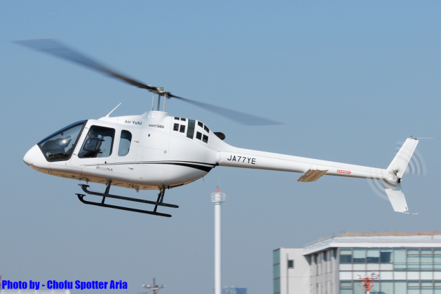 ロイズ・アンティークス　Airplane Photo B 壁掛け  飛行機 額縁 ロイズ・アンティークス Airplane Photo B 壁掛け 飛行機 額縁