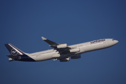 JA8037さんが、フランクフルト国際空港で撮影したルフトハンザドイツ航空 A340-313Xの航空フォト（飛行機 写真・画像）