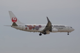 JOMONジェット」特別塗装機 日本航空 (737-800 | JA329J) ガイド