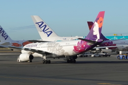 prius737さんが、ダニエル・K・イノウエ国際空港で撮影したハワイアン航空 A330-243の航空フォト（飛行機 写真・画像）