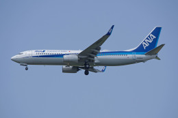 apphgさんが、静岡空港で撮影した全日空 737-881の航空フォト（飛行機 写真・画像）