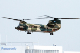 m,s mitubatiさんが、名古屋飛行場で撮影した航空自衛隊 CH-47J/LRの航空フォト（飛行機 写真・画像）