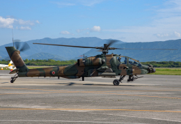 BM485さんが、鹿屋航空基地で撮影した陸上自衛隊 AH-64Dの航空フォト（飛行機 写真・画像）