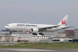 YamatoFlyさんが、福岡空港で撮影した日本航空 777-246/ERの航空フォト（飛行機 写真・画像）