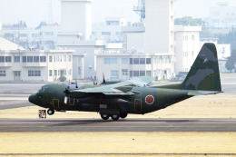 m,s mitubatiさんが、名古屋飛行場で撮影した航空自衛隊 C-130H Herculesの航空フォト（飛行機 写真・画像）