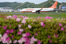 Nikon787さんが、松山空港で撮影したチェジュ航空 737-8ASの航空フォト（飛行機 写真・画像）