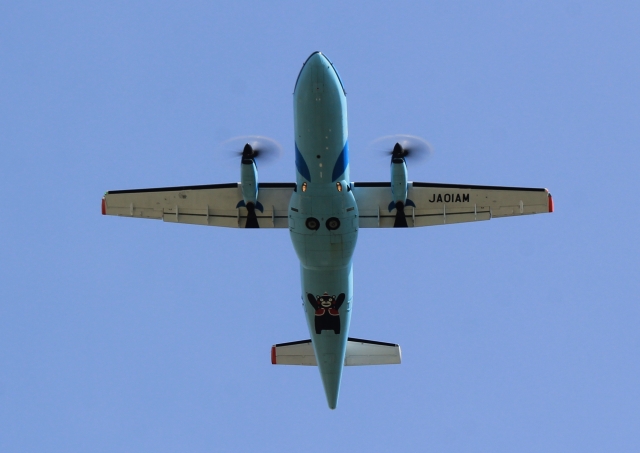 (激レア) AIRBUS A319 窓 ウィンドウパネル スキン付き 激レア) AIRBUS A319 もどっ 窓 ウィンドウパネル スキン付き