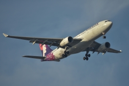 qooさんが、羽田空港で撮影したハワイアン航空 A330-243の航空フォト（飛行機 写真・画像）