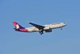 X8618さんが、羽田空港で撮影したハワイアン航空 A330-243の航空フォト（飛行機 写真・画像）
