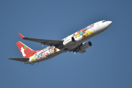 ティーウェイ航空、特別塗装機「ピカチュウジェット TW 」運航
