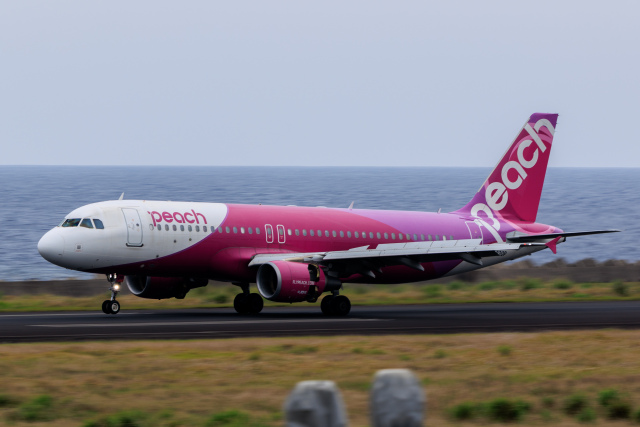 リアルマリオさんが、奄美空港で撮影したピーチ A320-214の航空フォト（飛行機 写真・画像）