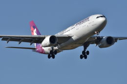 qooさんが、成田国際空港で撮影したハワイアン航空 A330-243の航空フォト（飛行機 写真・画像）