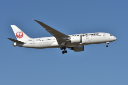 JAL (日本航空) 機材一覧 ボーイング787-8 ドリームライナー