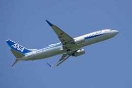 apphgさんが、静岡空港で撮影した全日空 737-881の航空フォト（飛行機 写真・画像）
