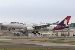 Love Airbus350さんが、福岡空港で撮影したハワイアン航空 A330-243の航空フォト（飛行機 写真・画像）